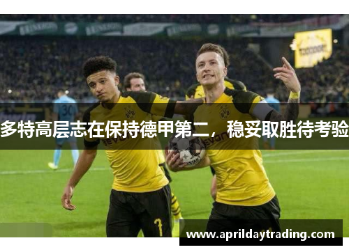多特高层志在保持德甲第二，稳妥取胜待考验